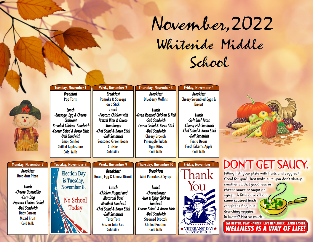 Whiteside School District 115